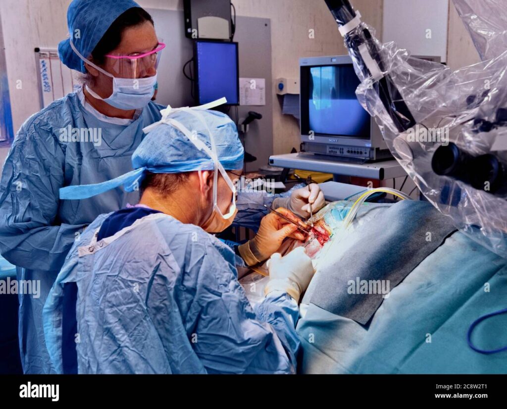 https://c8.alamy.com/comp/2C8W2T1/cochlear-implant-surgery-2C8W2T1.jpg